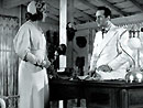 Biographie de Stefan Zweig