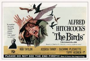 Les oiseaux (The birds) - Alfred Hitchcock (1963) avec Elizabeth Wilson