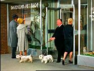 Les oiseaux (The birds) - Alfred Hitchcock (1963) avec Suzanne Cupito