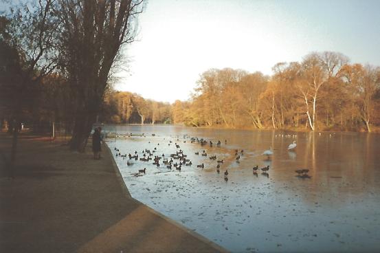 Le Bois de Vincennes en Hiver : La Porte Jaune - Photo N1